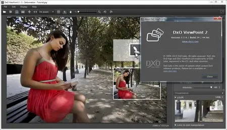 DxO ViewPoint 2.1.4 Build 24 x64