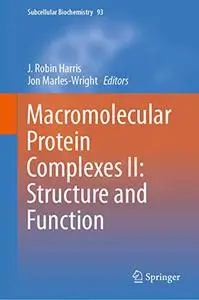 Macromolecular Protein Complexes II: Structure and Function (Repost)
