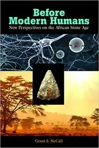 Before Modern Humans: New Perspectives on the African Stone Age