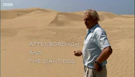 Attenborough and the Giant Egg (2011)