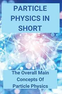 Particle Physics In Short: The Overall Main Concepts Of Particle Physics