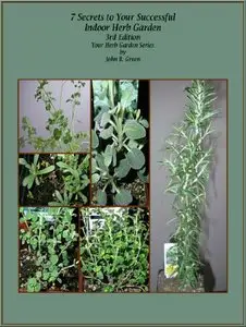 7 Secrets to Your Successful Indoor Herb Garden