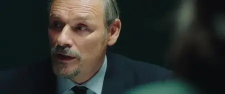 In Fabric (2018)
