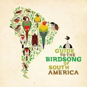 VA - A Guide To The Birdsong Of South America (2015)