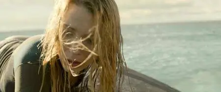 The Shallows (2016)