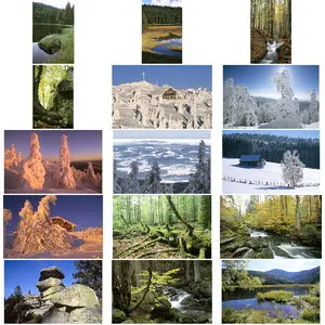 Westend61 WE052 Bavarian Forest - Four Seasons
