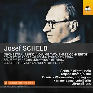 Kammersymphonie Berlin & Jürgen Bruns - Schelb: Orchestral Music, Vol. 2 (2021)