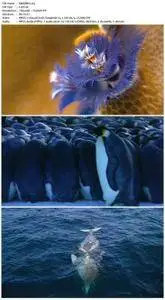 Deep Blue (2003)