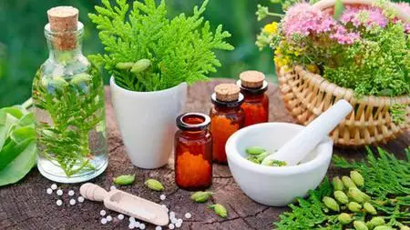 Accredited Foundation Homeopathy Diploma Course