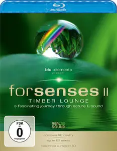 ForSenses & ForSenses II (2009/2011)