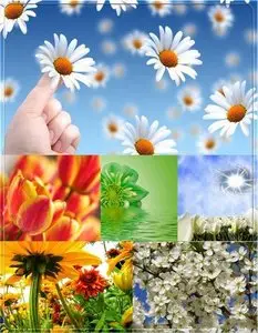 Spring Backgrounds pack