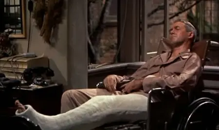 Rear Window (1954)