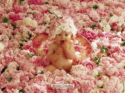 Anne Geddes