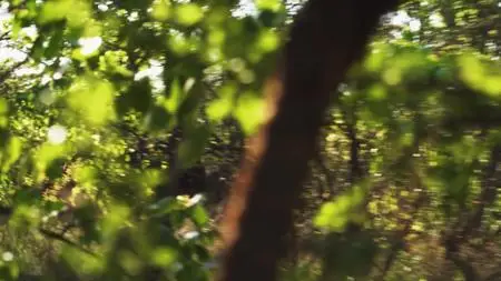 Extinct or Alive S02E03