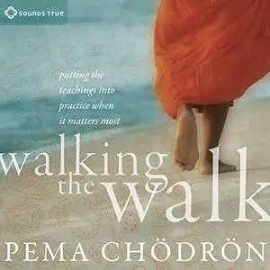 Walking the Walk: Putting the Teachings into Practice When It Matters Most [Audiobook]