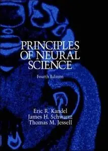 Principles Of Neural Science