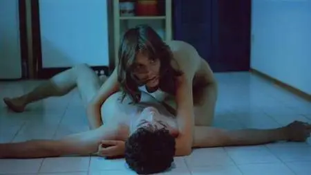 Der Fan (1982)