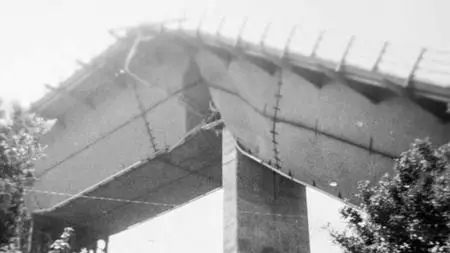 Sci. Ch. - Engineering Catastrophes: Boston's Big Dig Disaster (2019)