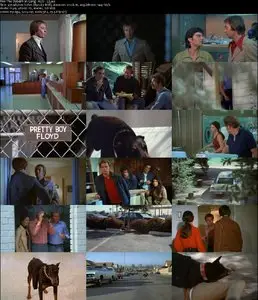 The Doberman Gang (1972)