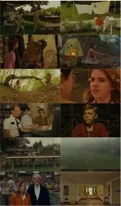 Moonrise Kingdom (2012)