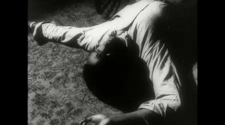 Doc of the Dead (2014)