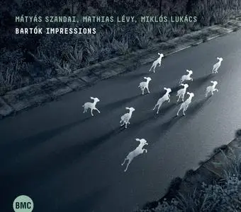 Mátyás Szandai, Mathias Lévy & Miklós Lukács - Bartók Impressions (2018)