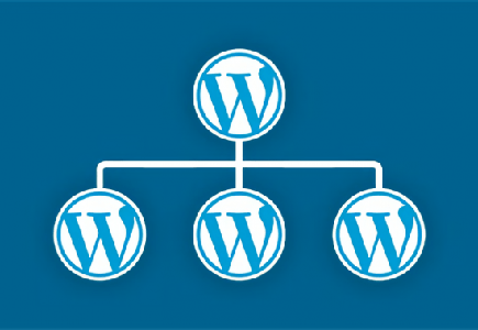 Complete Guide to WordPress Multisite