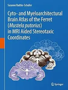 Cyto- and Myeloarchitectural Brain Atlas of the Ferret (Mustela putorius) in MRI Aided Stereotaxic Coordinates (Repost)