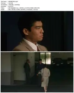 Yakuza Ladies Revisited (1991)