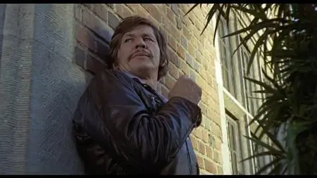 The Mechanic (1972)