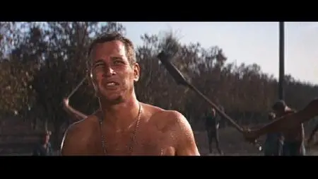 Cool Hand Luke [Deluxe Edition] (1967)