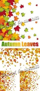 Autumn Leaves Vector