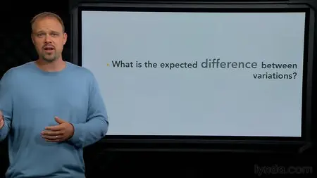 Google Website Optimizer Essential Training