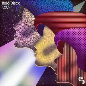 Sample Magic Italo Disco MULTiFORMAT