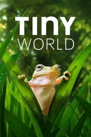 Tiny World S02E04
