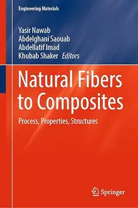 Natural Fibers to Composites: Process, Properties, Structures