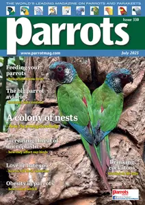 Parrots - July 2025