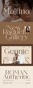 Malfina Elegant Serif Font 4R5B9JN