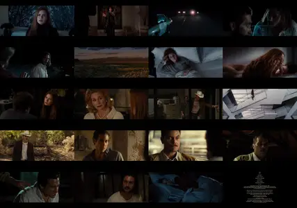 Nocturnal Animals (2016)