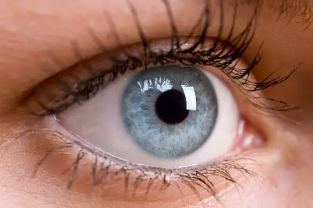Adobe Stock - Female EYES