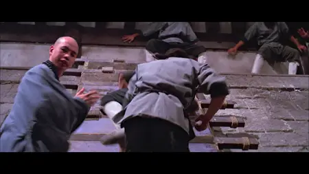 Pi li shi jie (1985) Disciples of the 36th Chamber