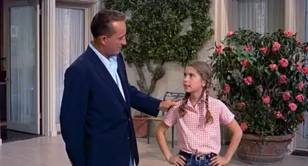 High Society (1956)