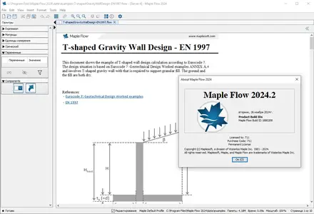 Maplesoft Maple Flow 2024.2