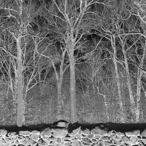Pile - Sunshine and Balance Beams (2025) [Official Digital Download]