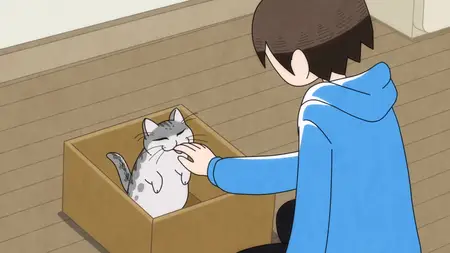 Nights With a Cat - S01E01 - Night 1 The Day a Cat Came to my House