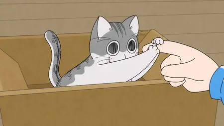 Nights With a Cat - S01E01 - Night 1 The Day a Cat Came to my House