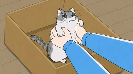 Nights With a Cat - S01E01 - Night 1 The Day a Cat Came to my House