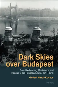 Dark Skies over Budapest