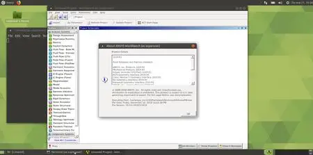 ANSYS Products 2019 R1 Linux