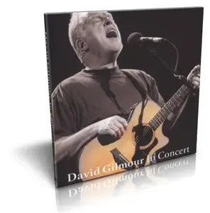 David Gilmour - In Concert CD (2001)